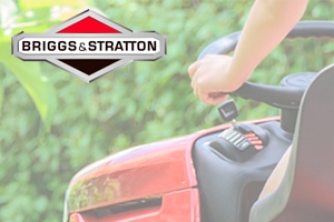 Briggs & Stratton Find Number & Model